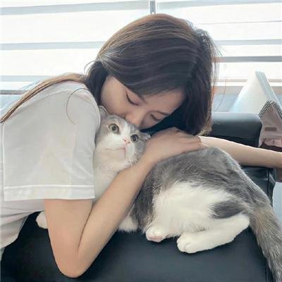 家族的形式
